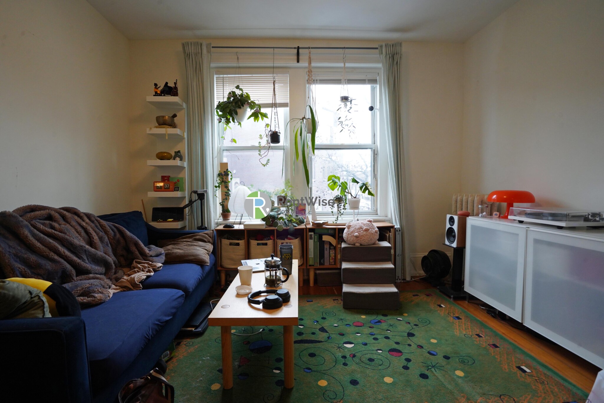 83 Harvard St, Central Village