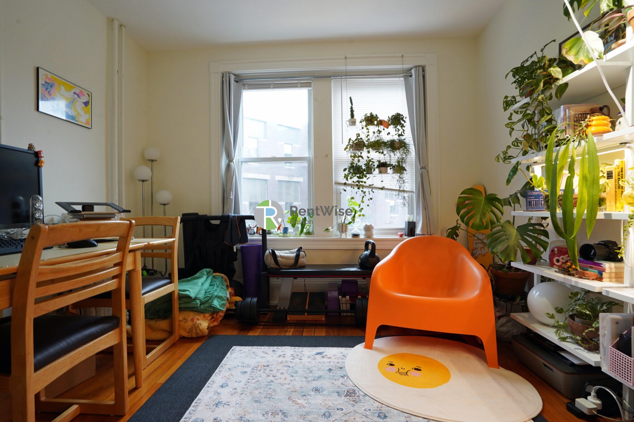 83 Harvard St, Central Village