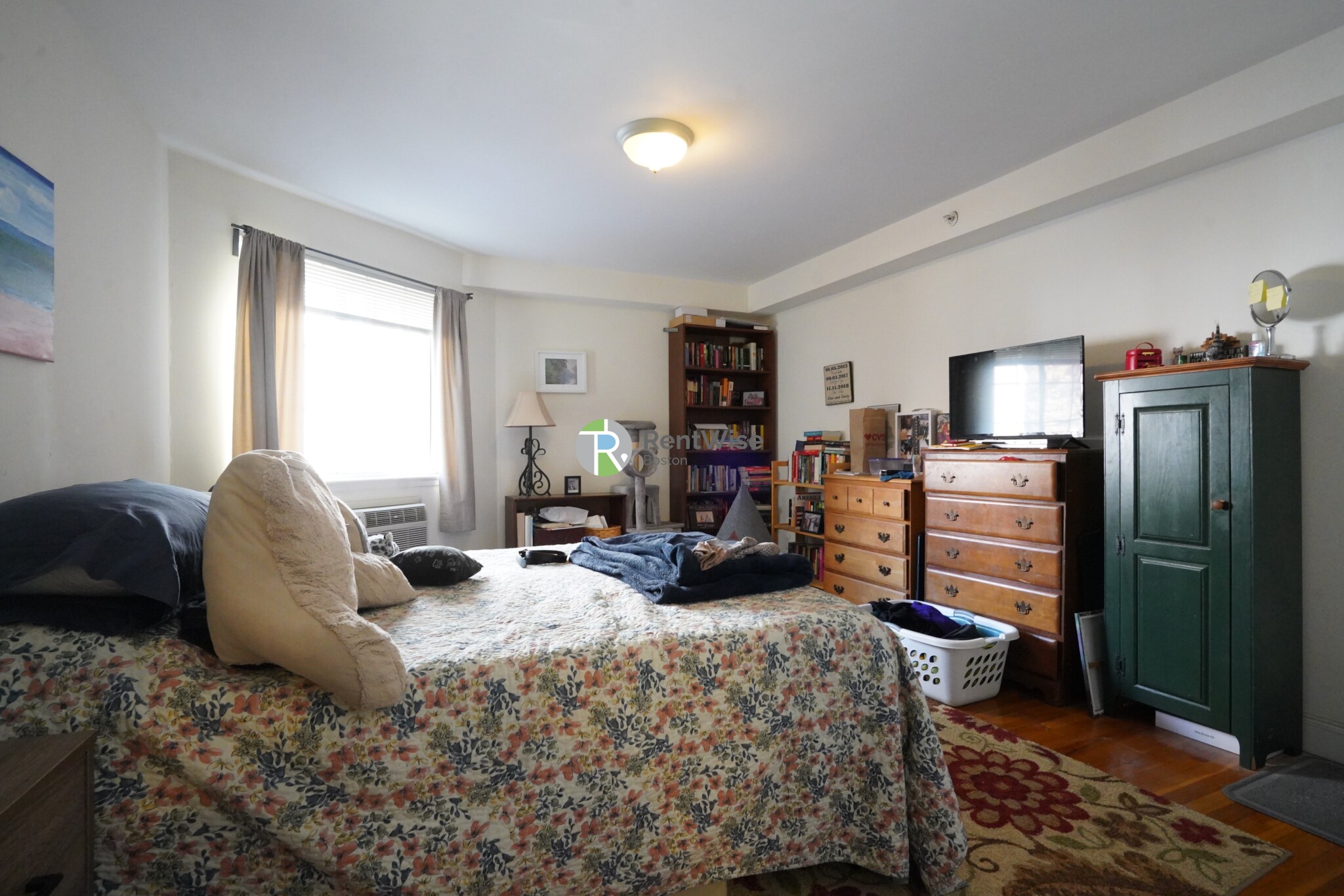 8 Griggs St, Brighton