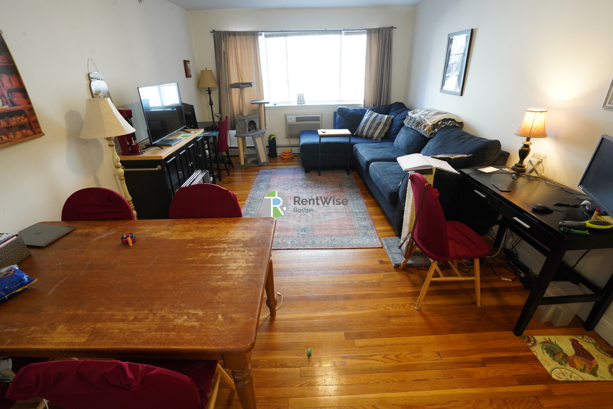 8 Griggs St, Brighton