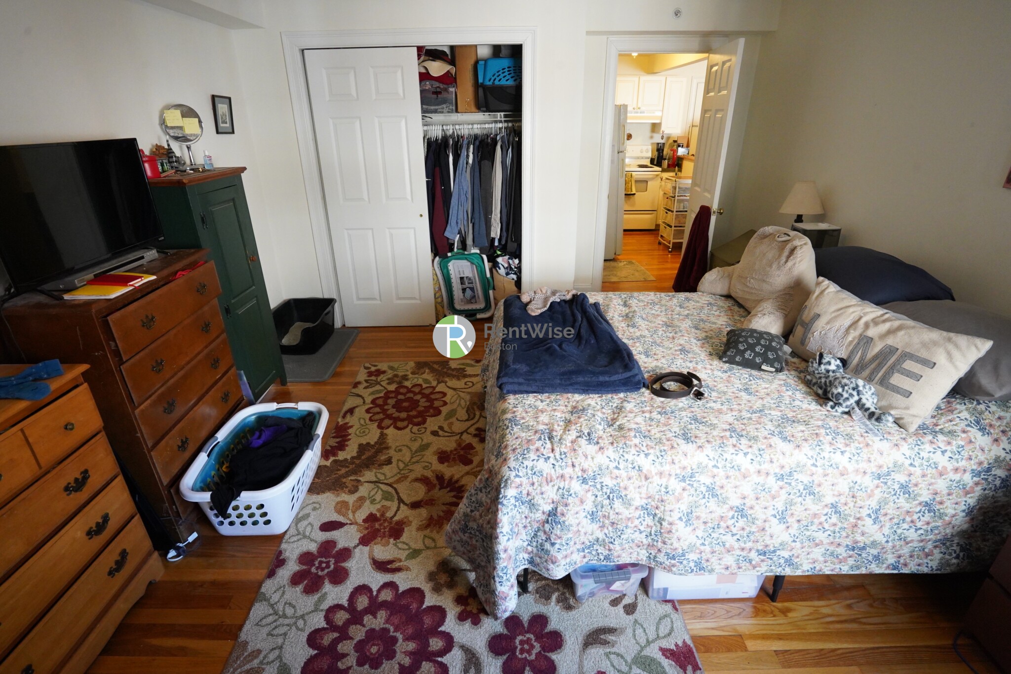 8 Griggs St, Brighton