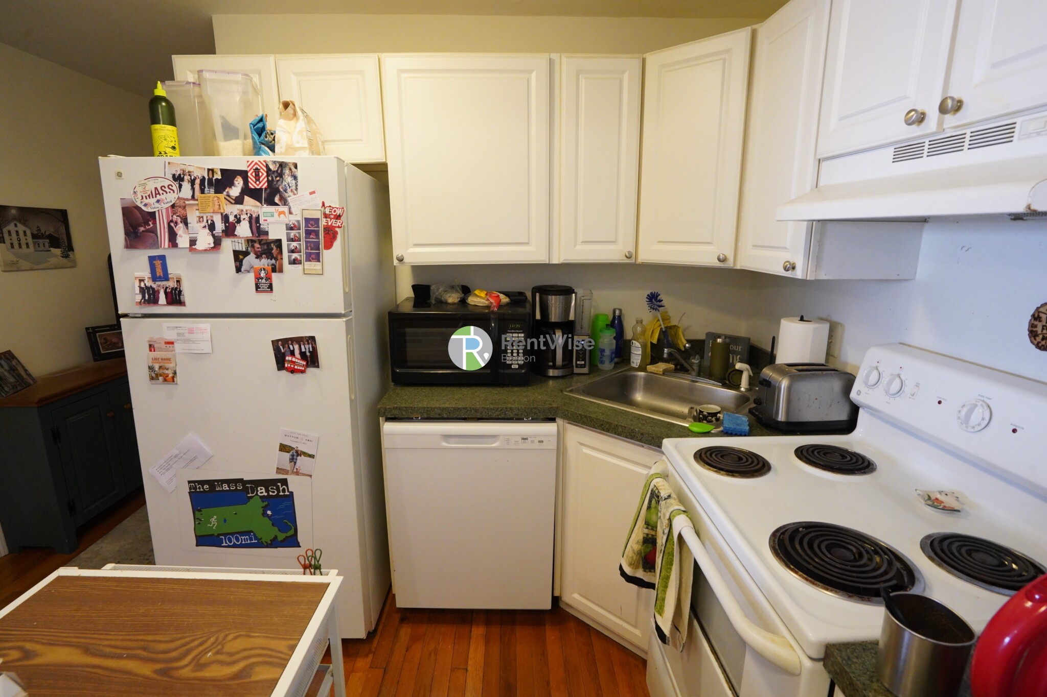 8 Griggs St, Brighton