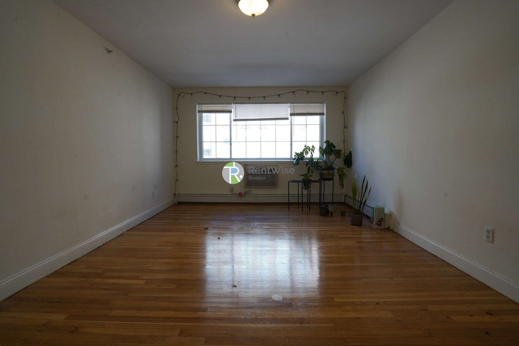 8 Griggs St, Brighton