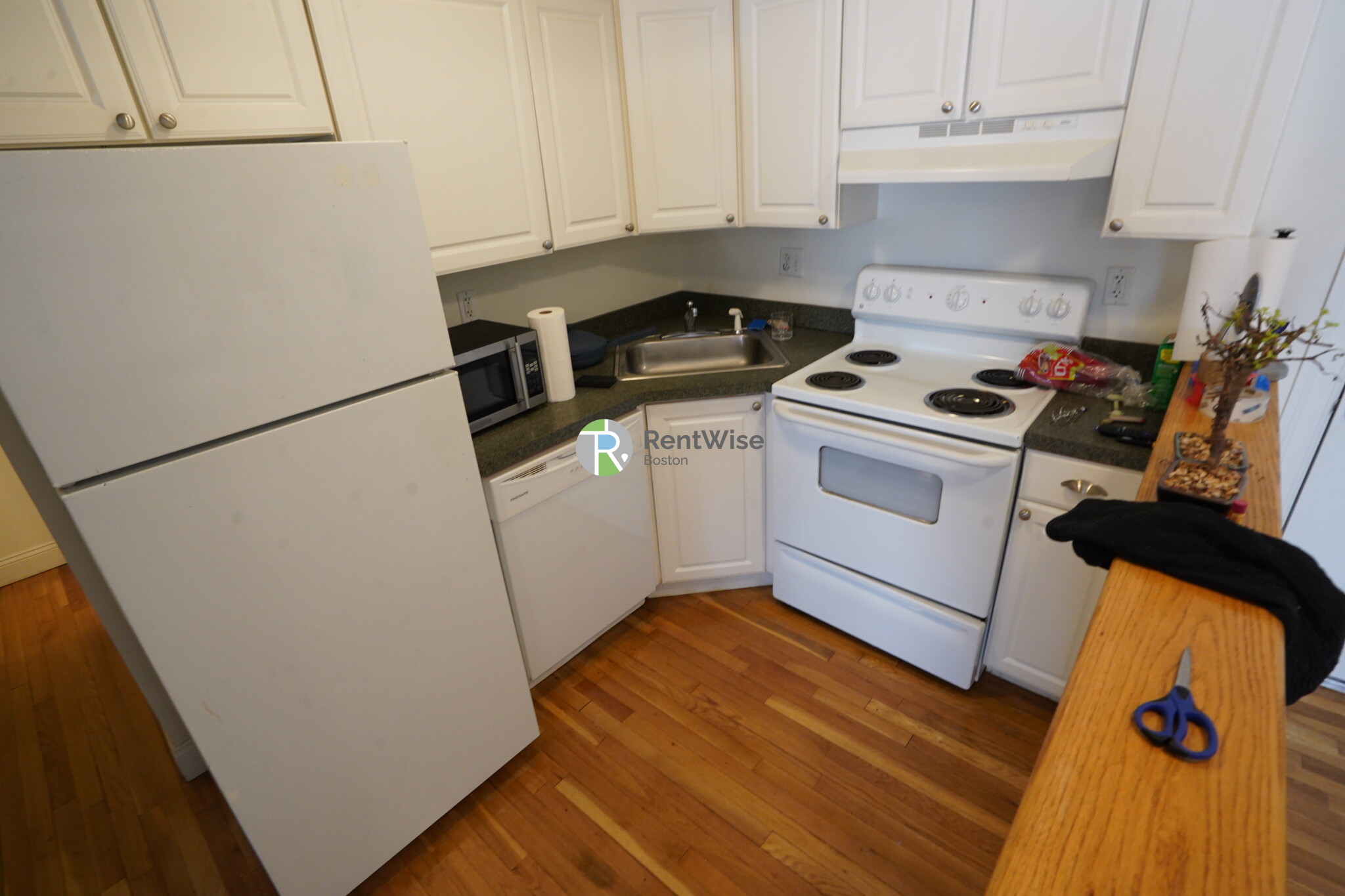 8 Griggs St, Brighton