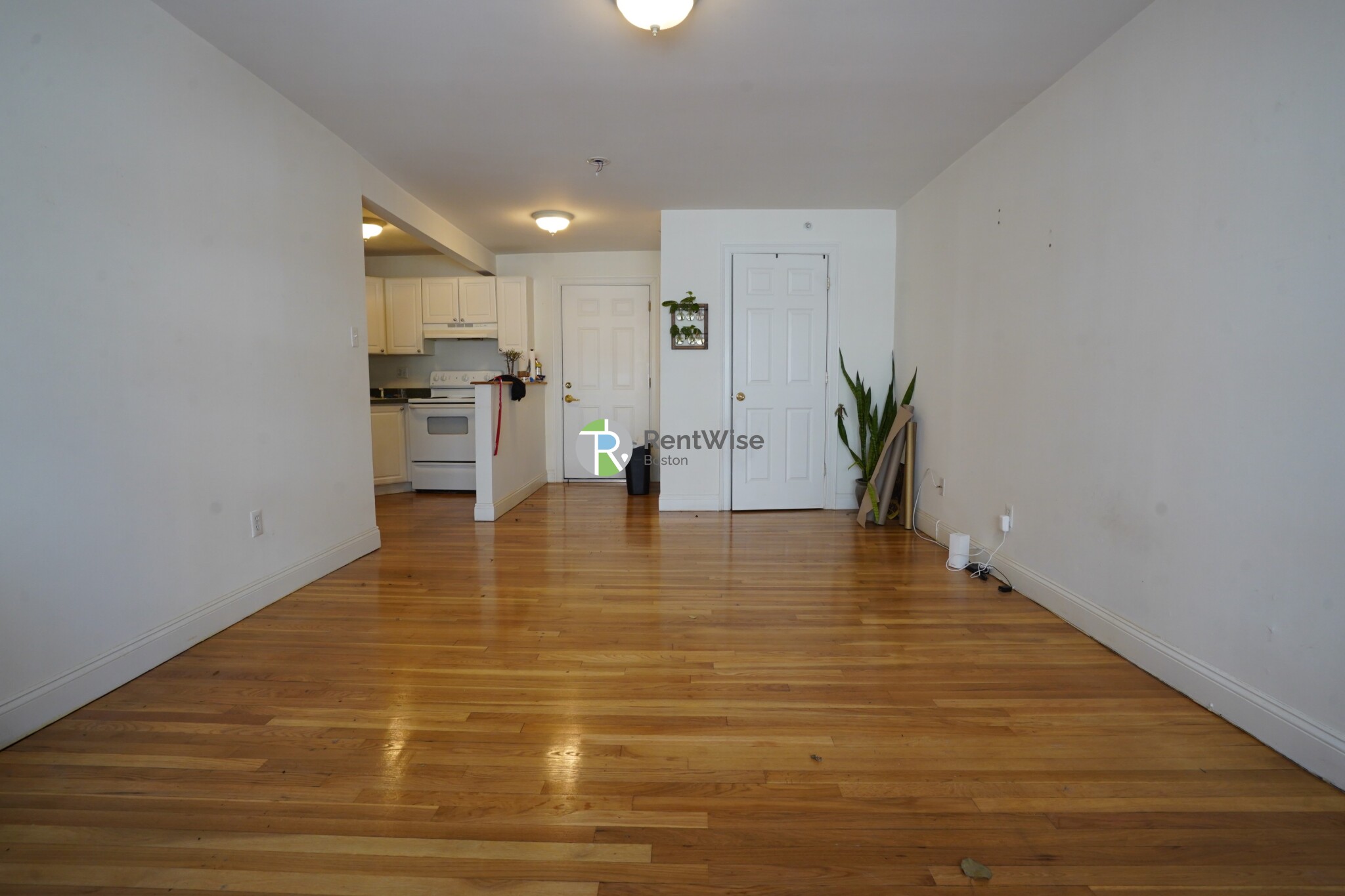 8 Griggs St, Brighton