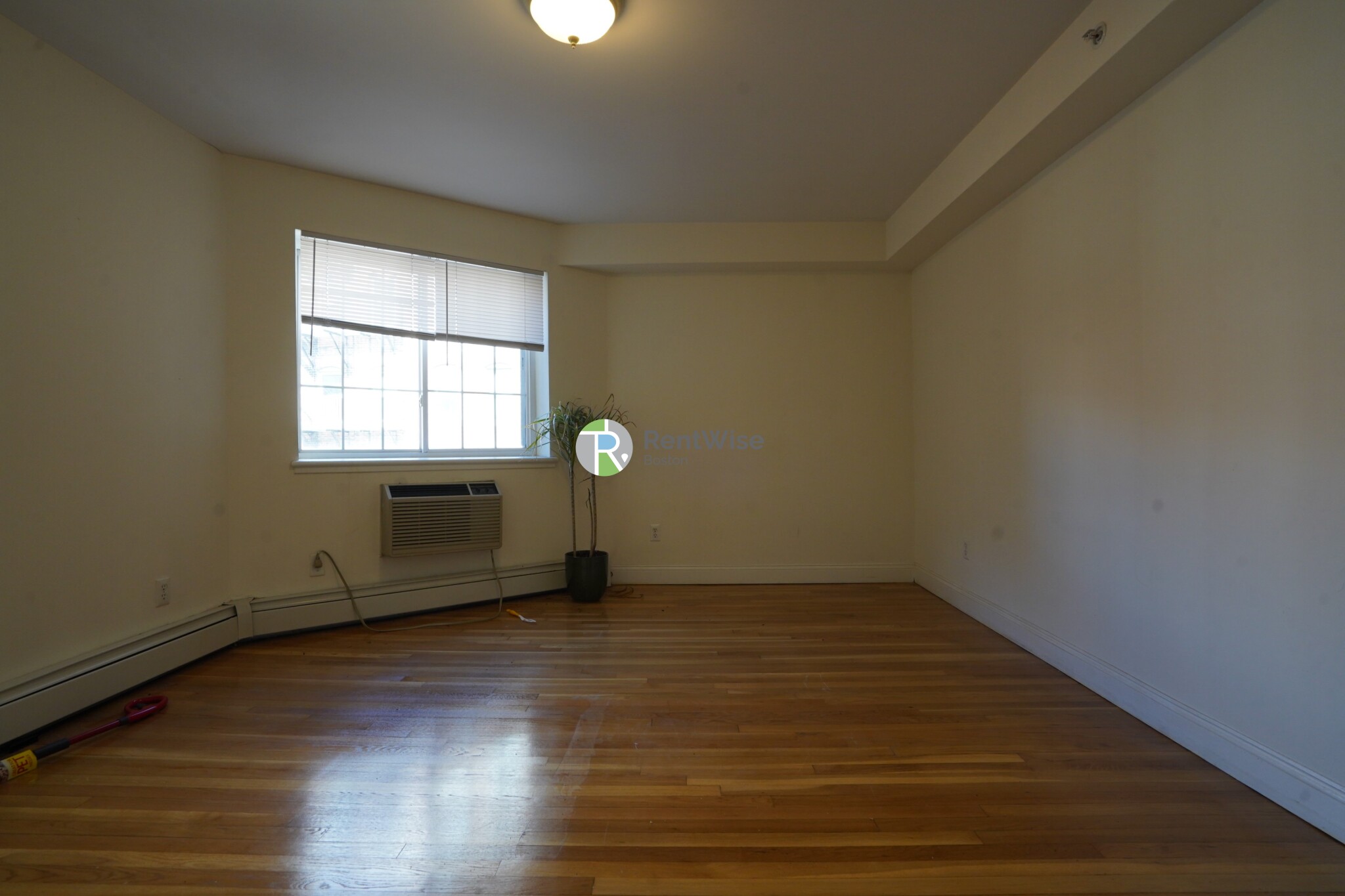 8 Griggs St, Brighton