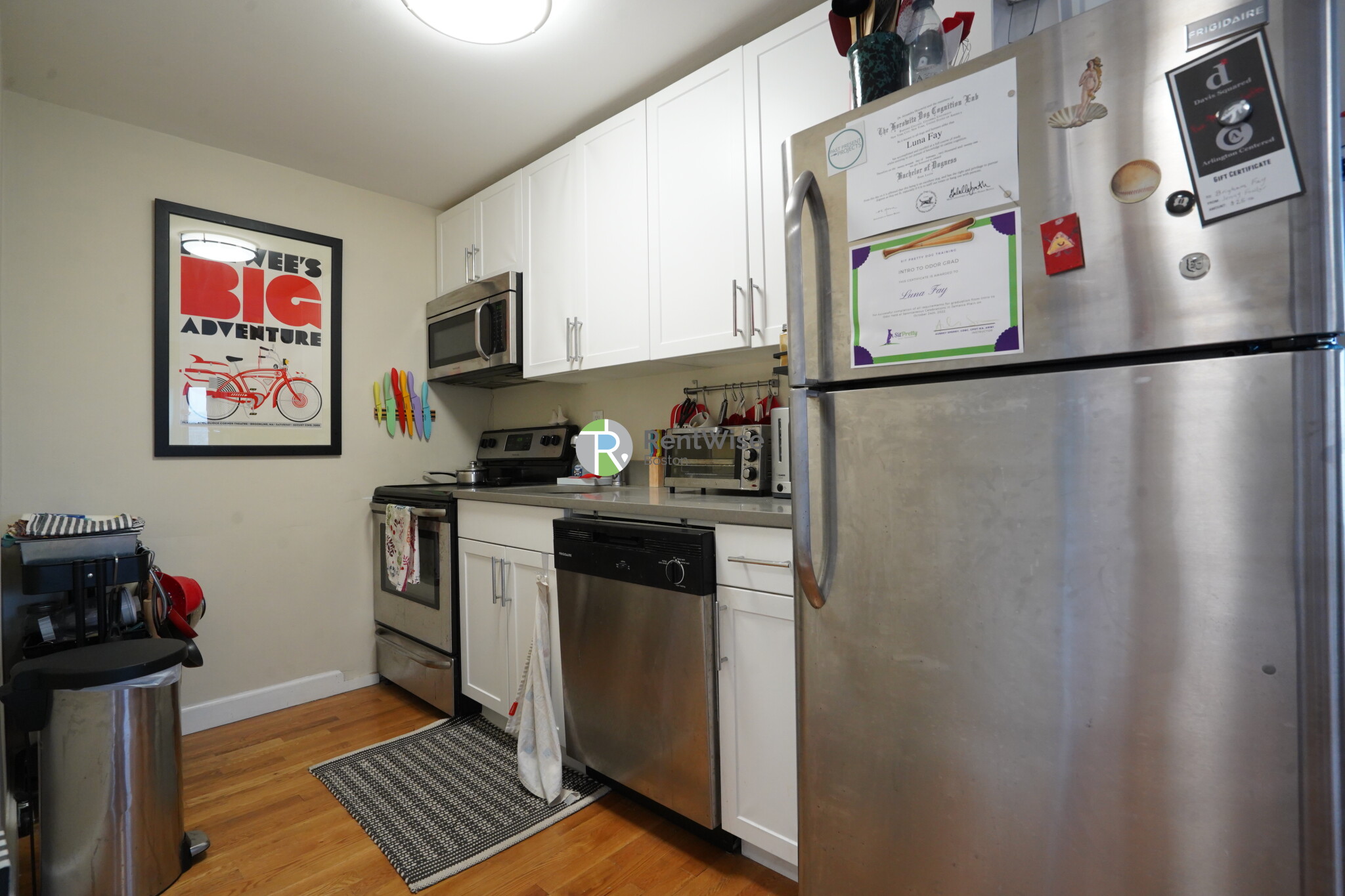 45 Carlton St, Longwood