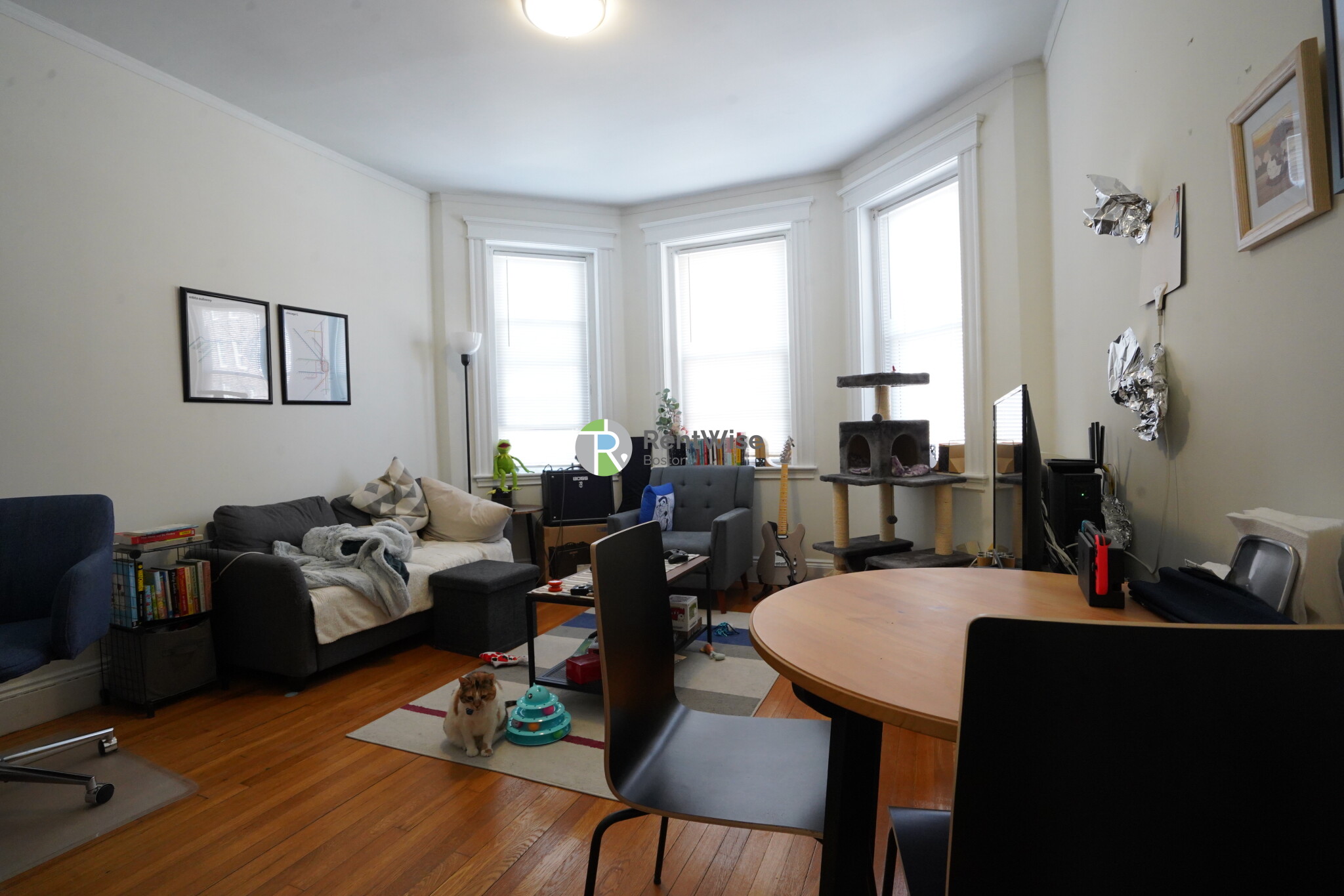 6 Orkney Rd, Brighton