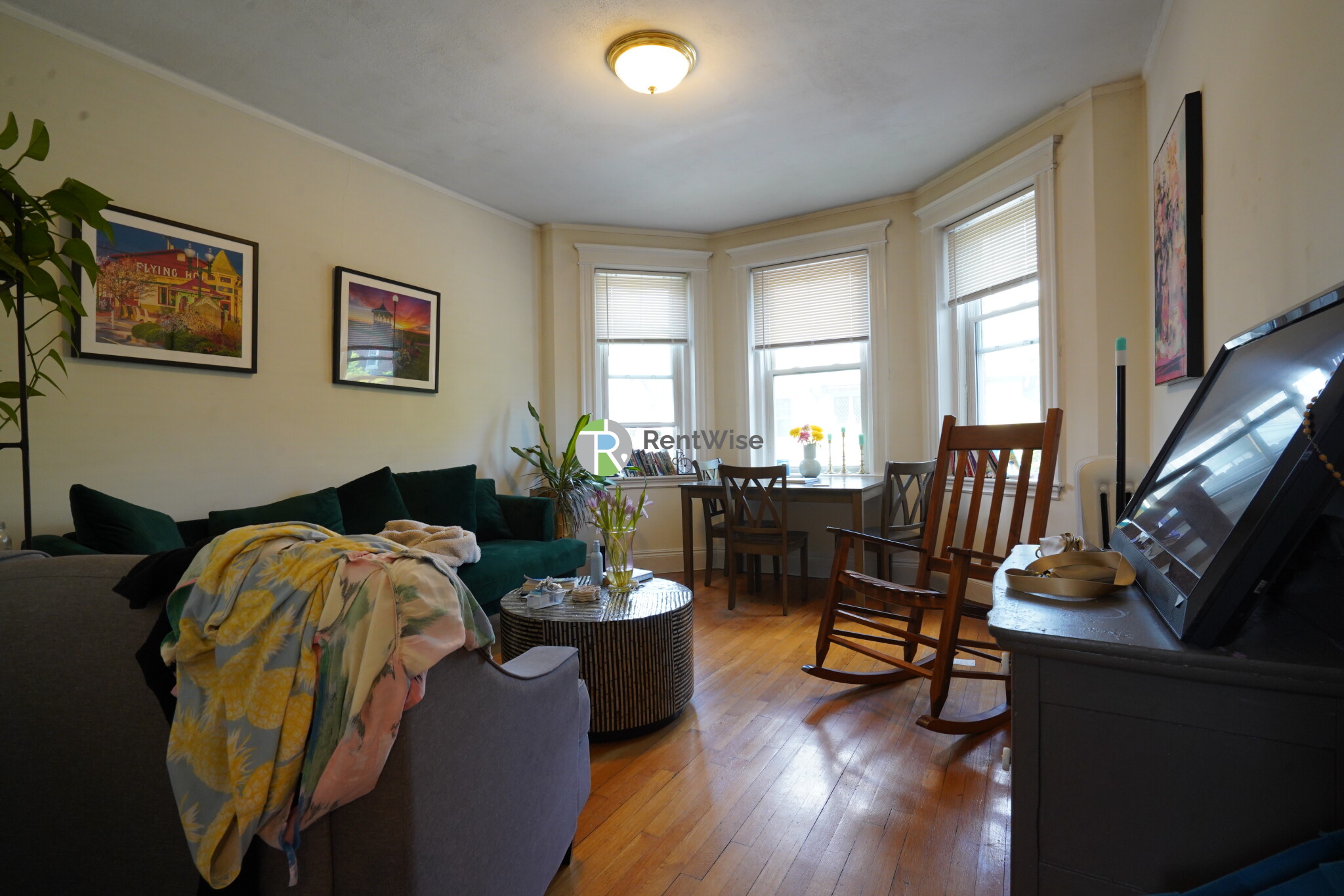 14 Orkney Rd, Brighton