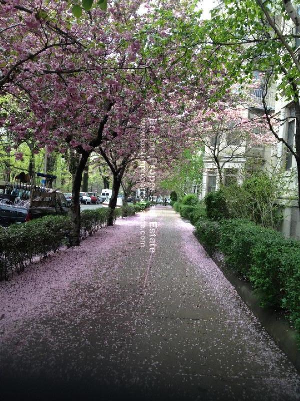 60 Charlesgate East, Fenway