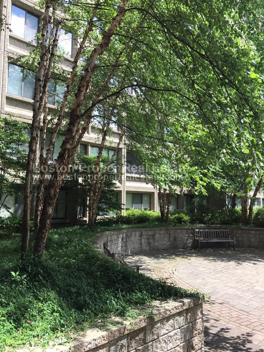 1731 Beacon St, Brookline