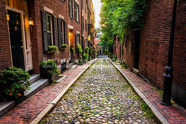 61 Anderson St, Beacon Hill