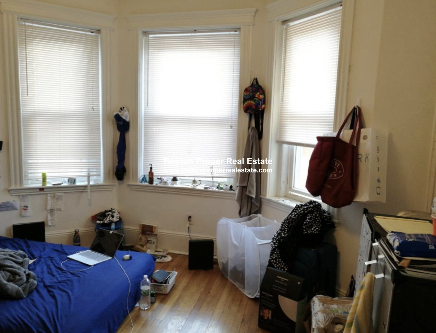 11 Tetlow St, Longwood