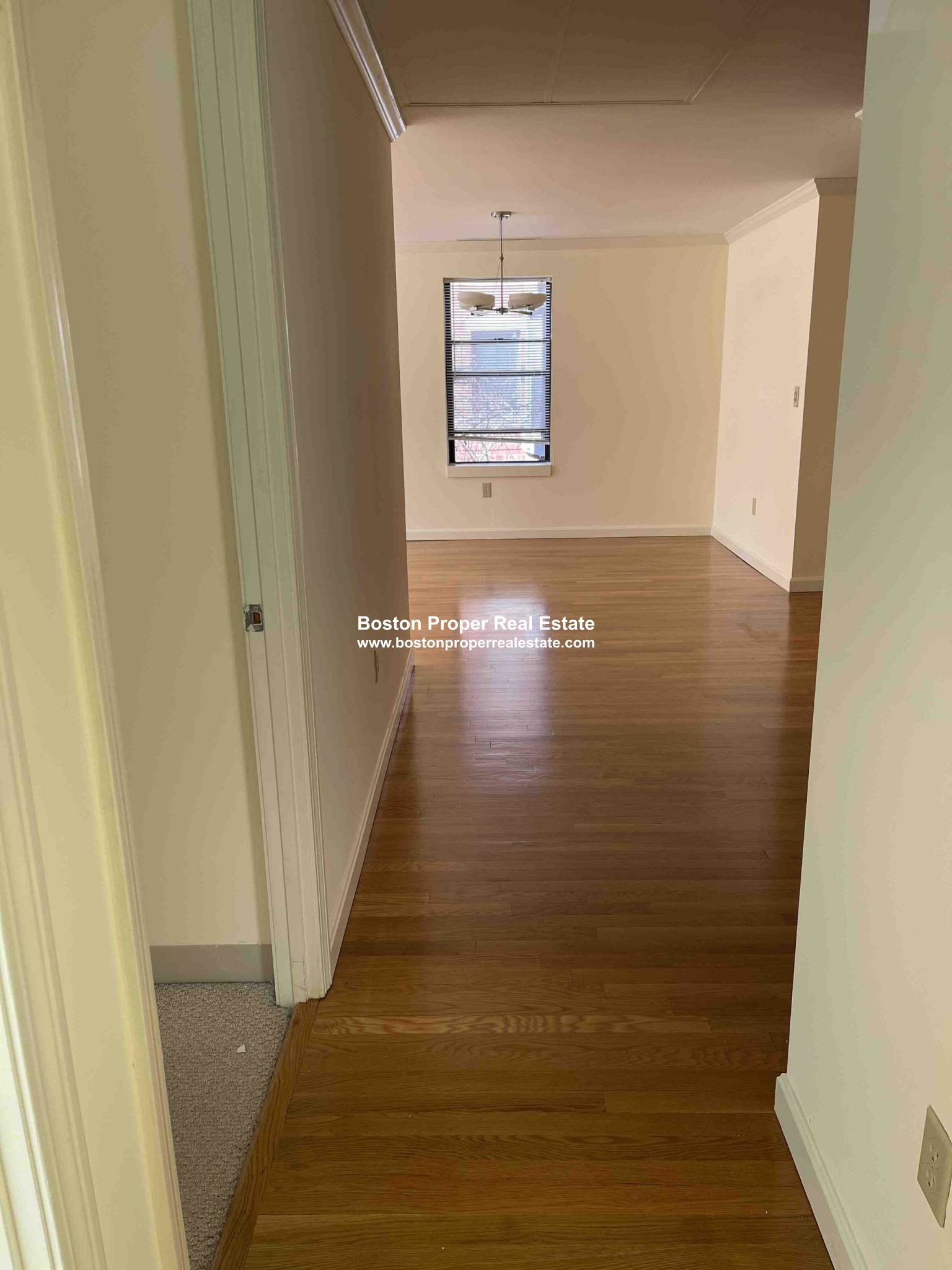 100 Jersey St, Fenway