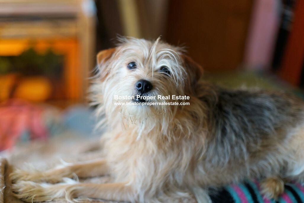 100 Arlington St, Back Bay