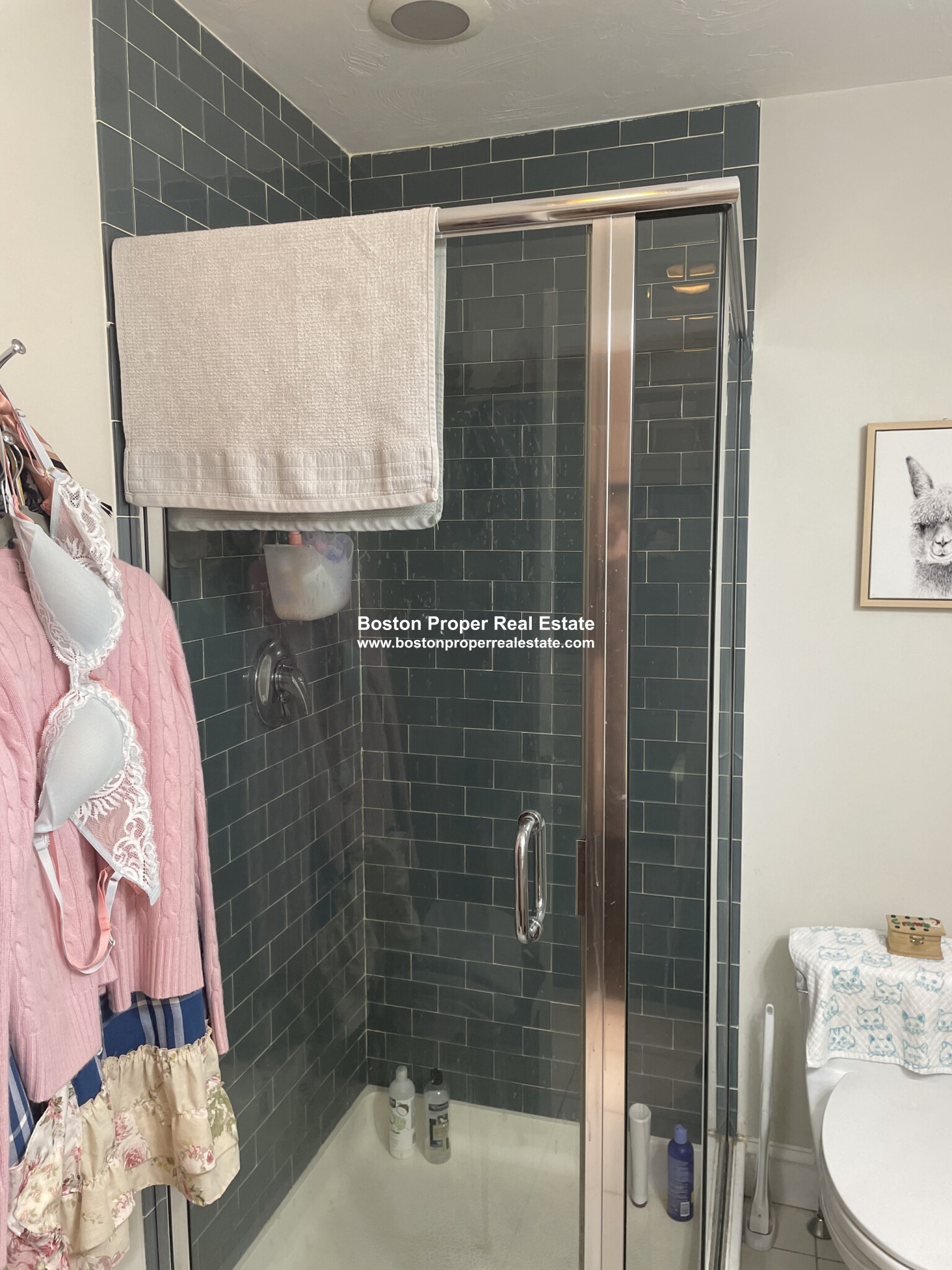 22 Hancock St, Beacon Hill