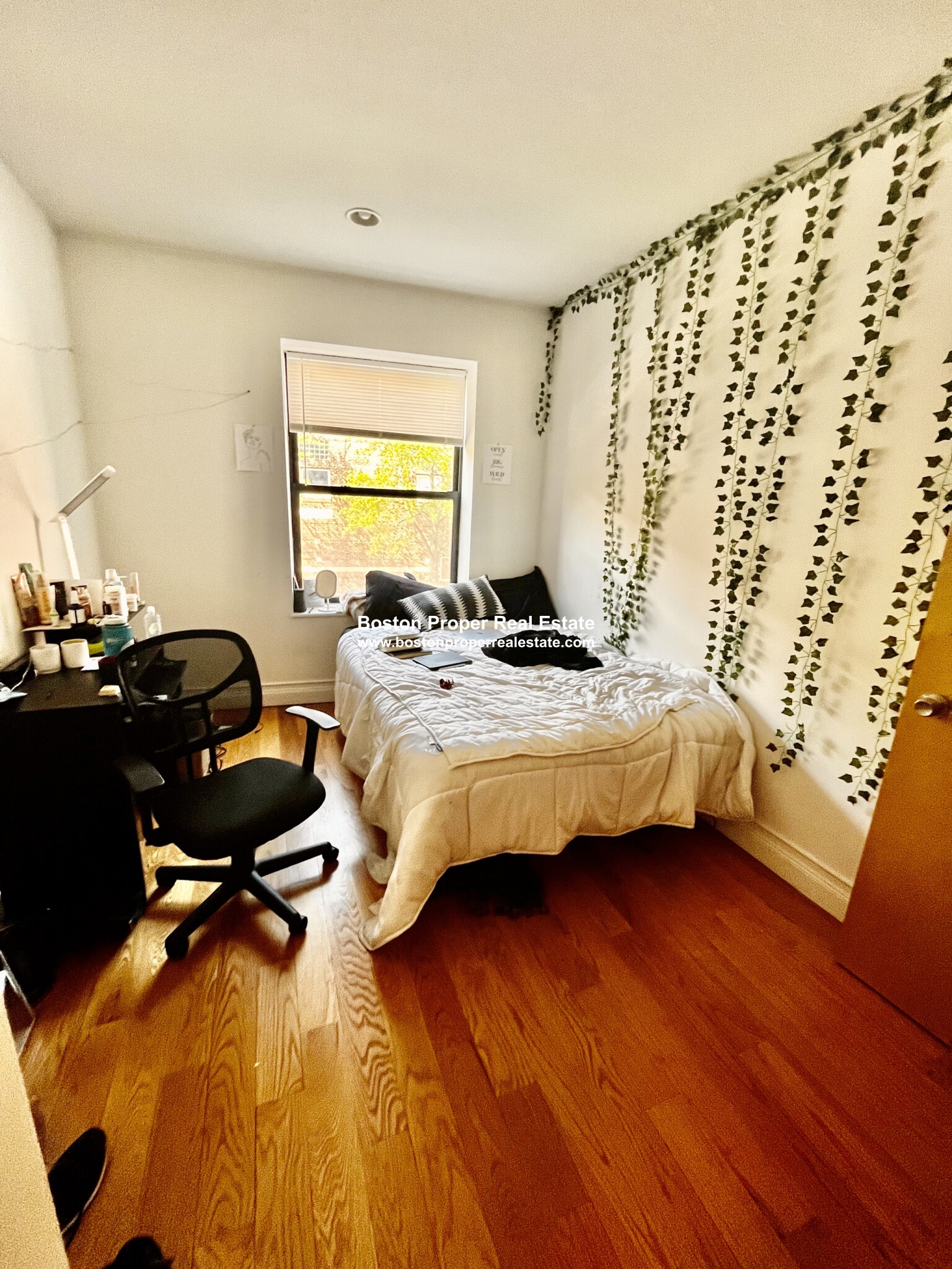 64 Louis Prang St, Fenway