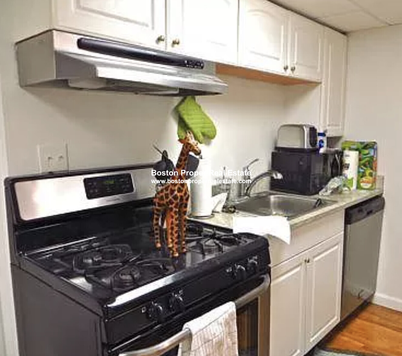 32 Irving St, Beacon Hill