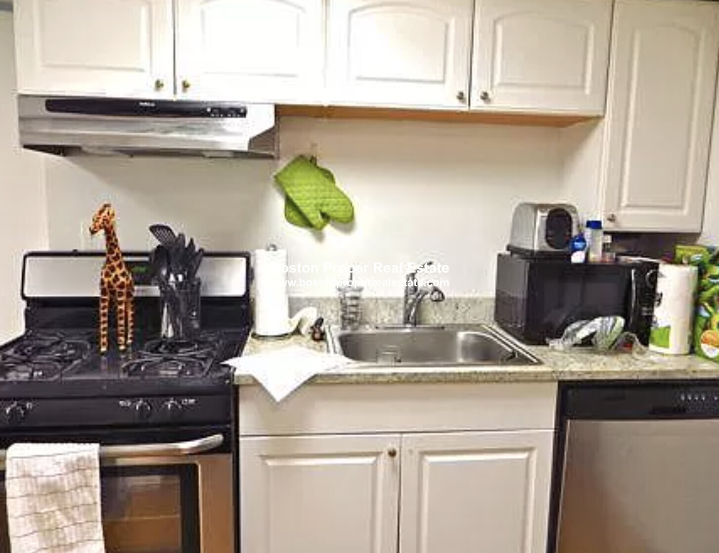 32 Irving St, Beacon Hill