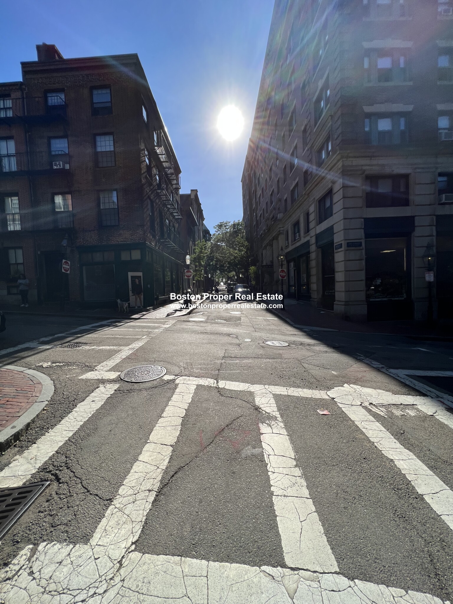 9 Myrtle St, Beacon Hill