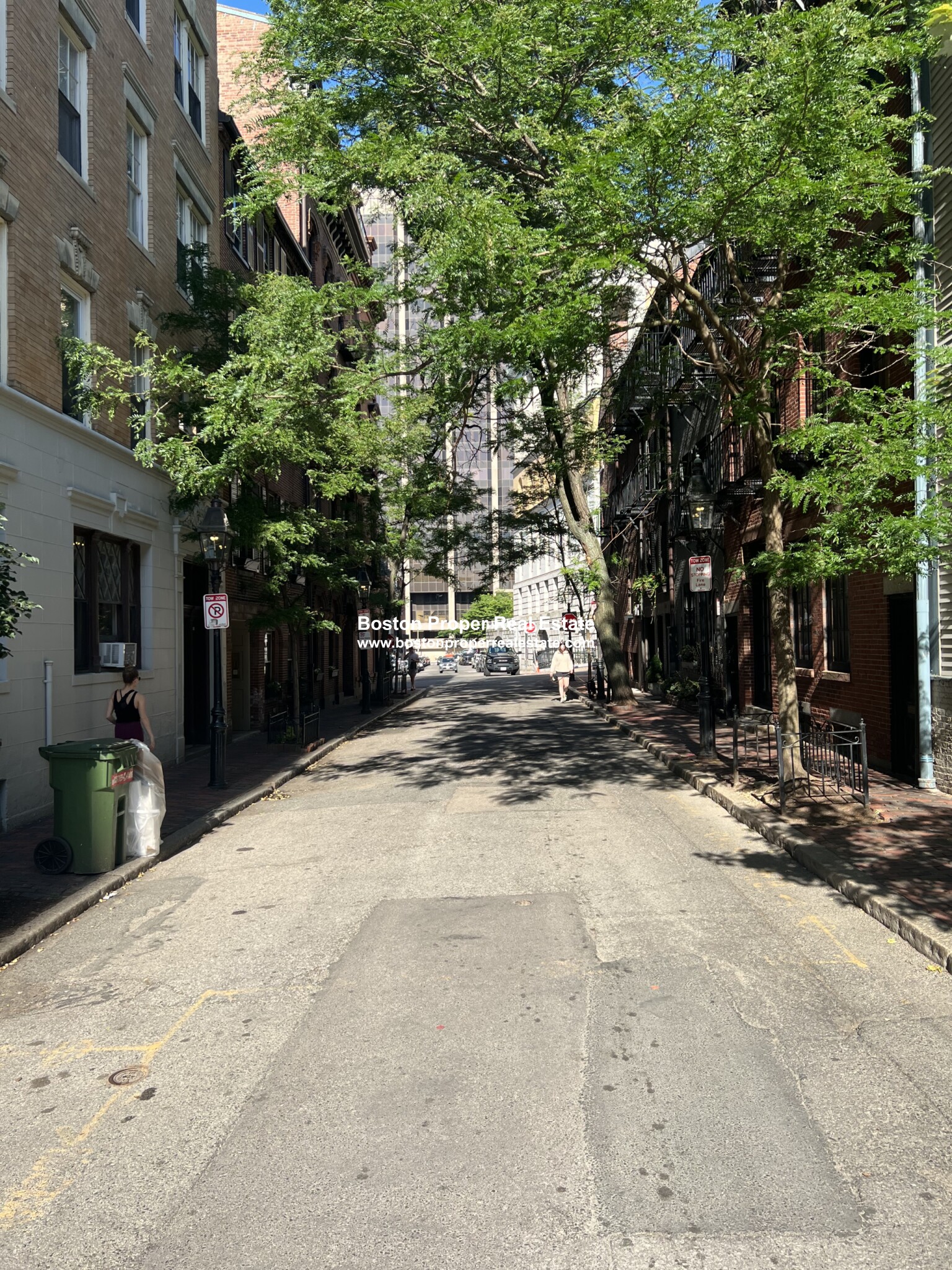 9 Myrtle St, Beacon Hill