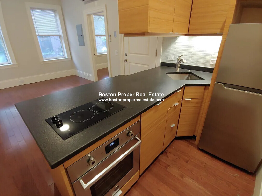 98 Myrtle St, Beacon Hill