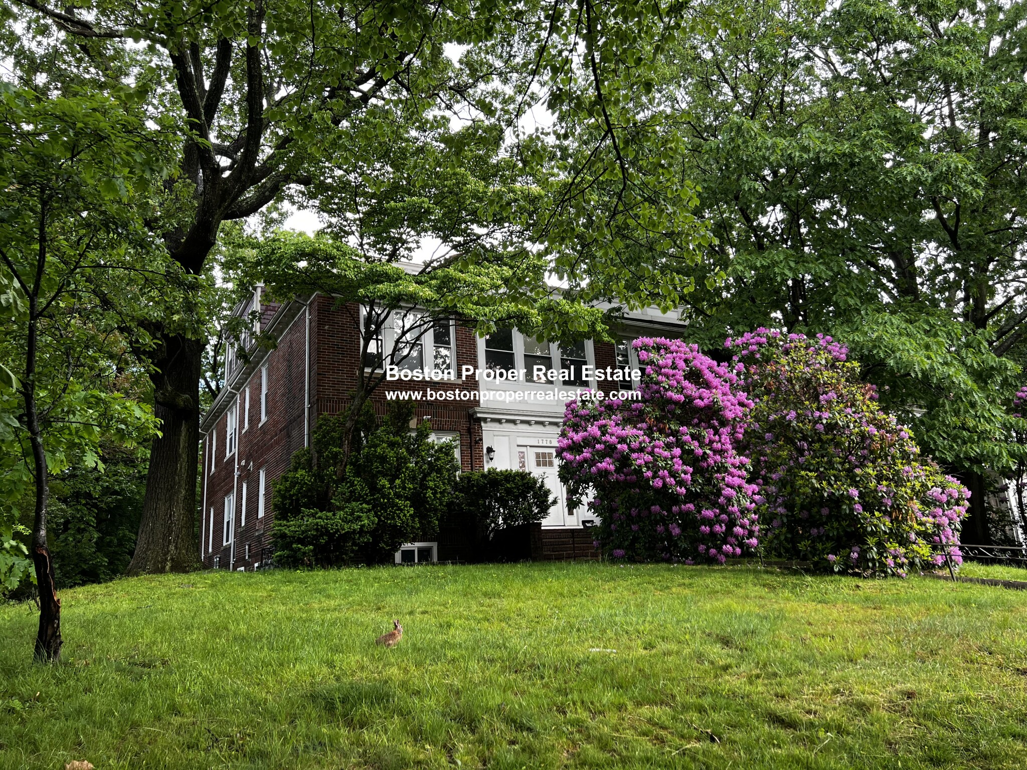 1778 Commonwealth Ave, Brighton