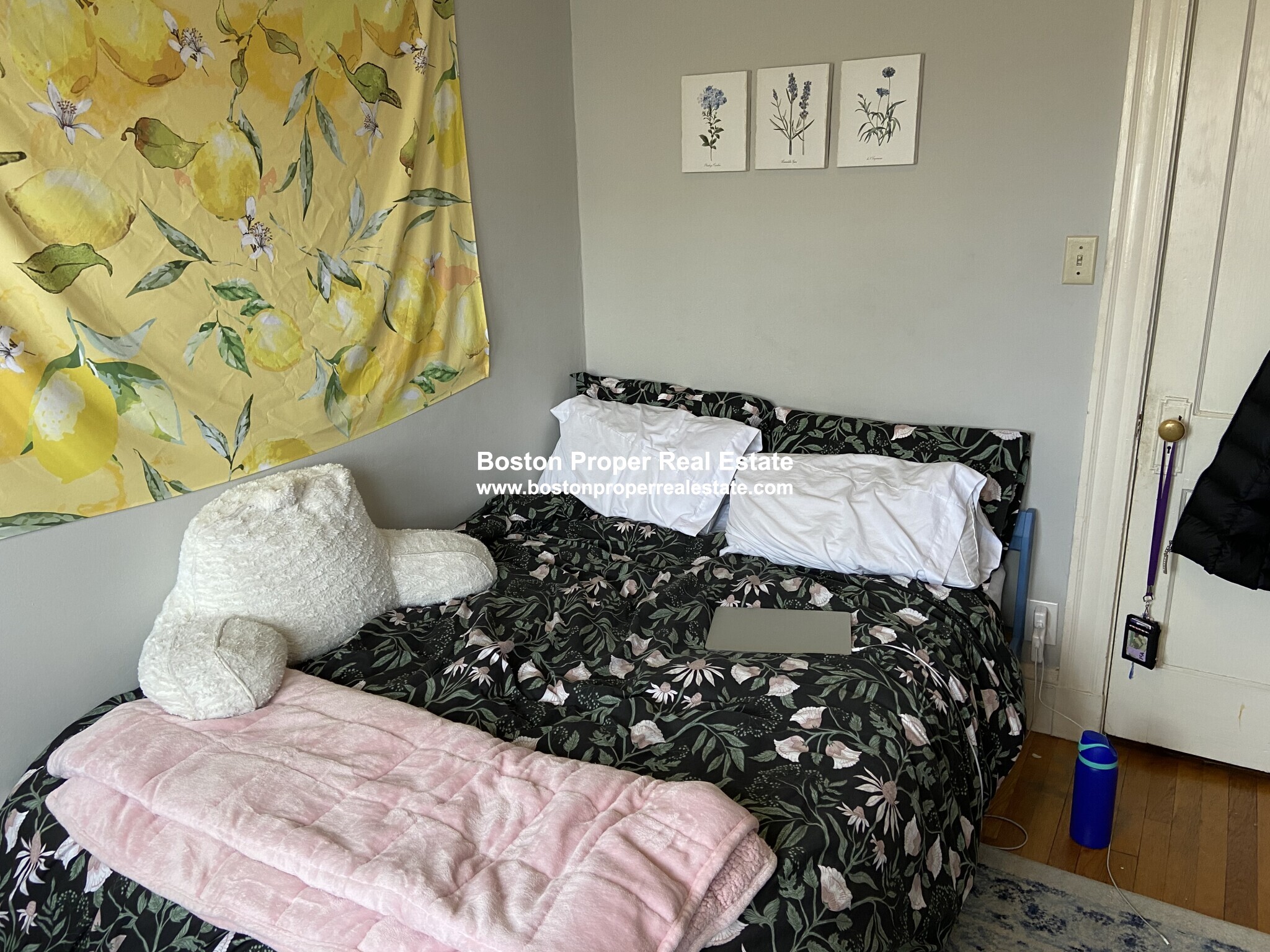 https://ygl-photos.s3.us-west-004.backblazeb2.com/474W641c41c3893e7.jpg