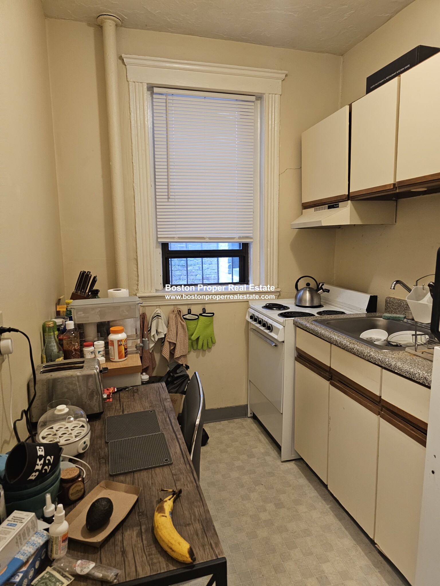 19 Peterborough St, Fenway