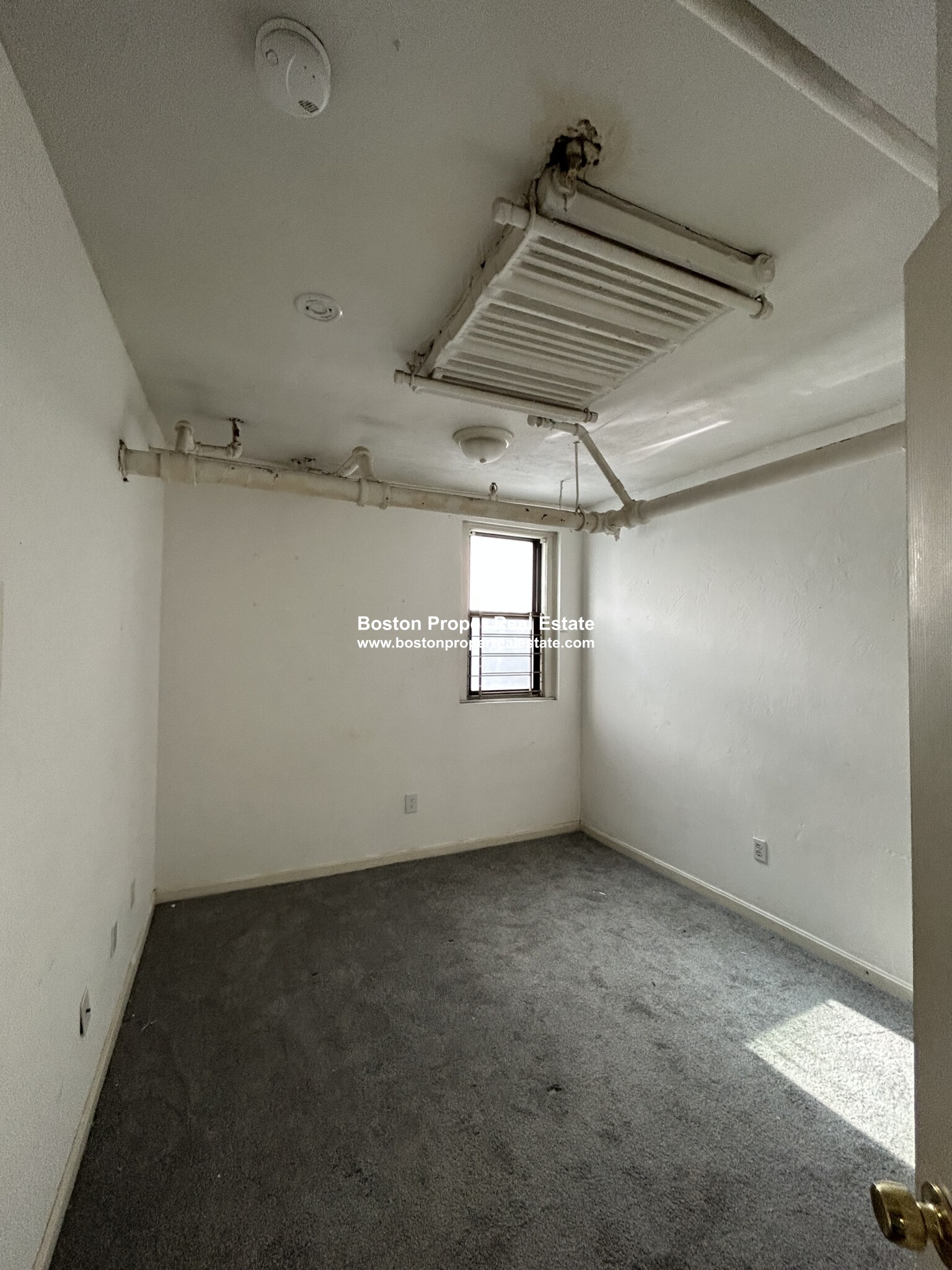 19 Peterborough St, Fenway