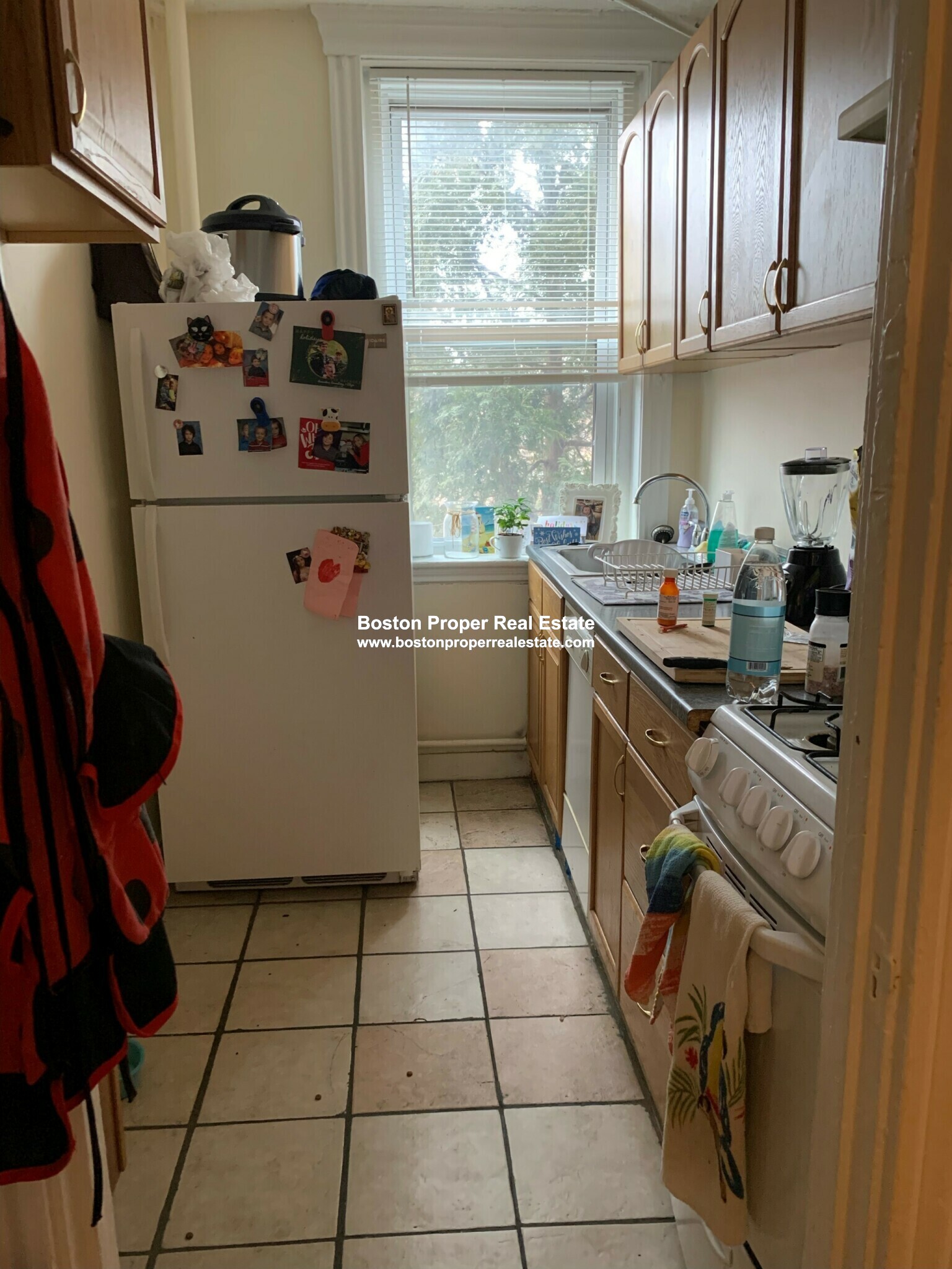 352 Riverway, Mission Hill