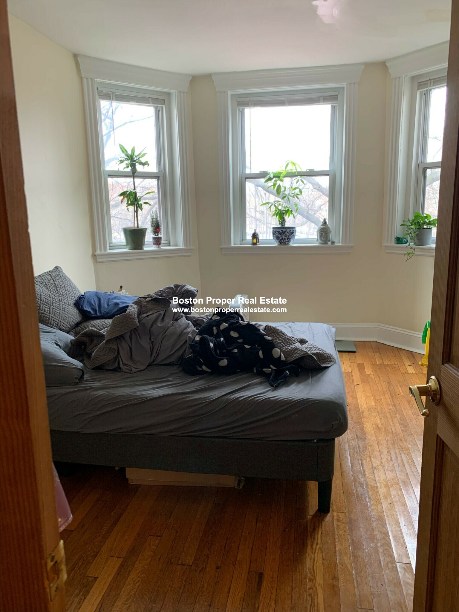 352 Riverway, Mission Hill