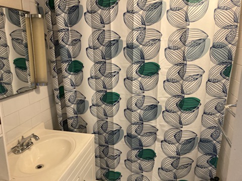 108 Myrtle St, Beacon Hill