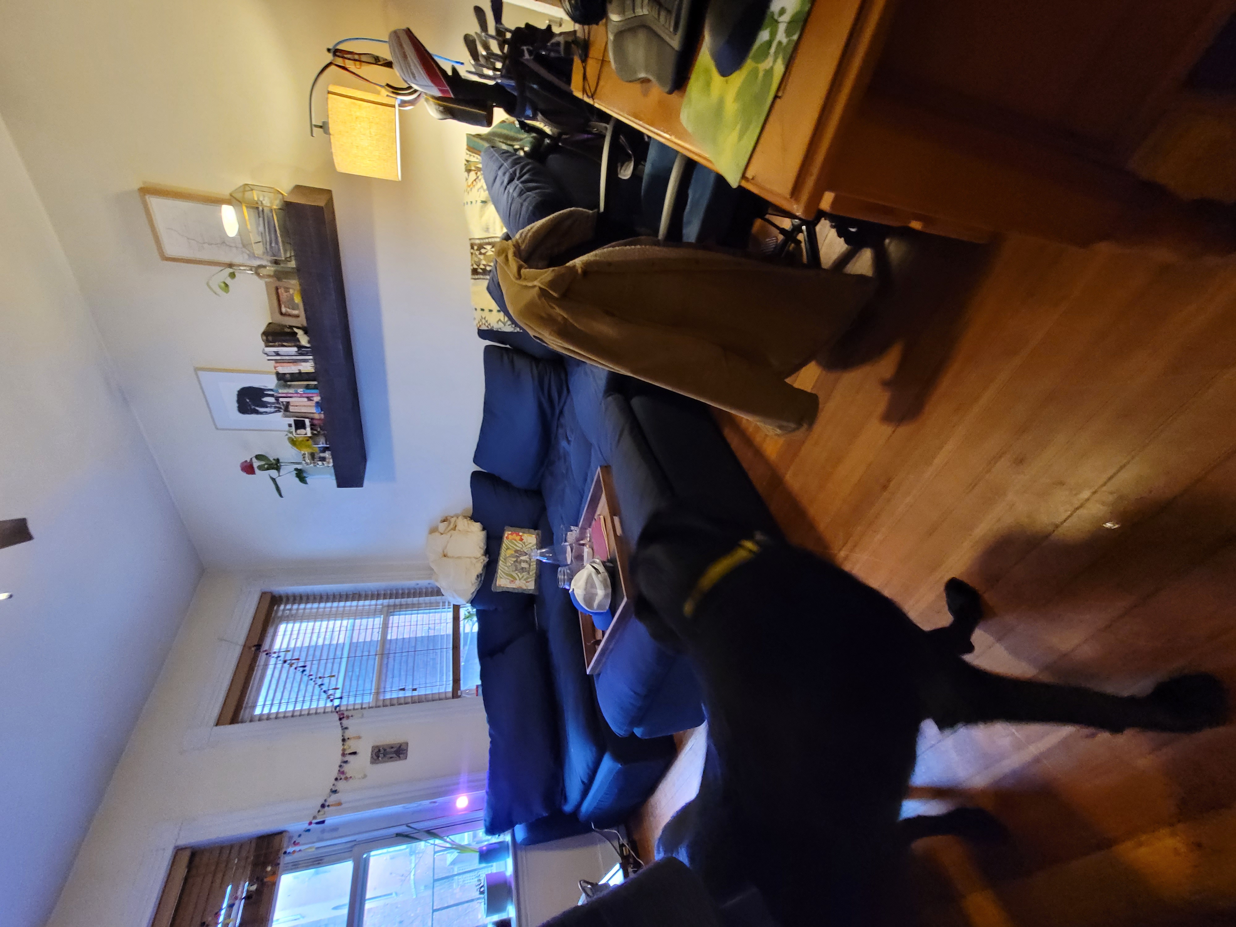 108 Myrtle St, Beacon Hill