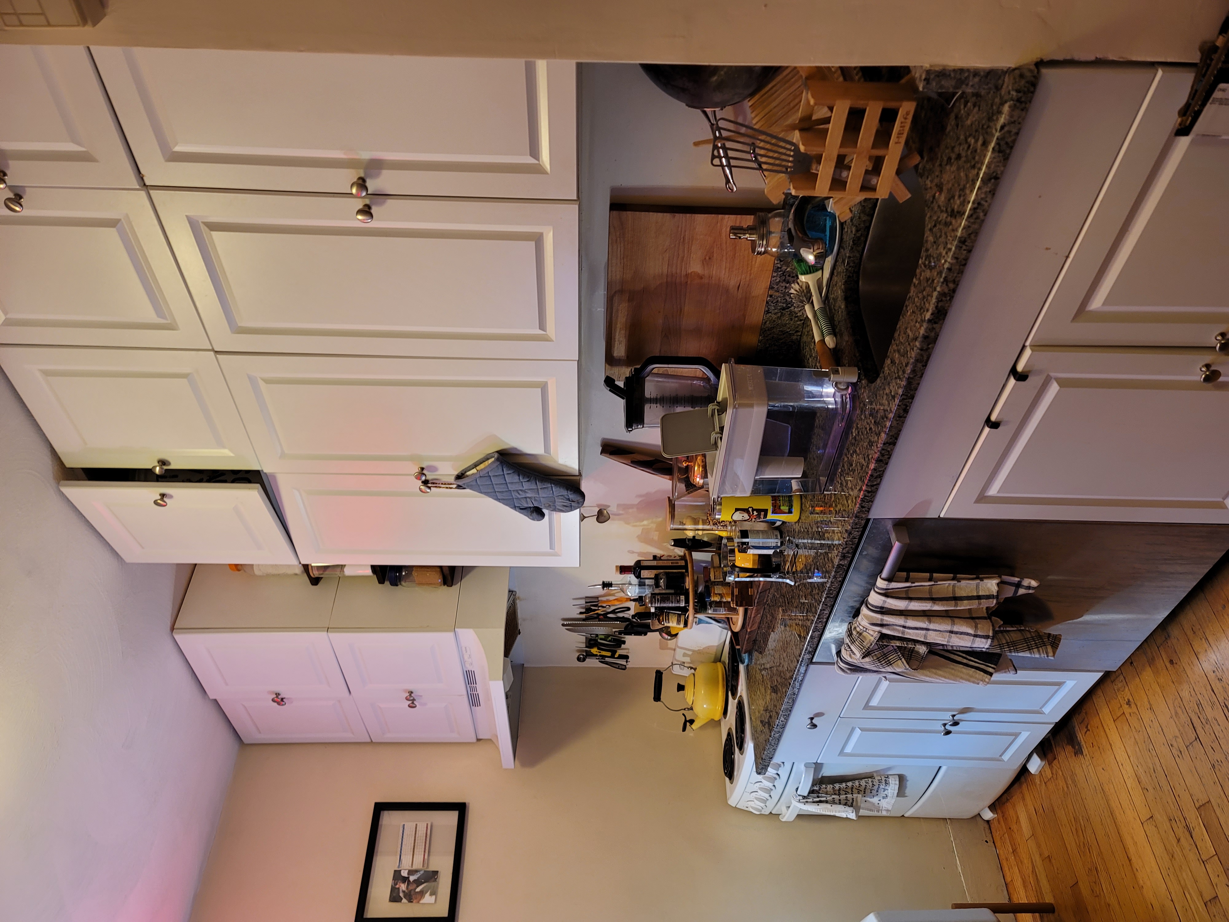 108 Myrtle St, Beacon Hill