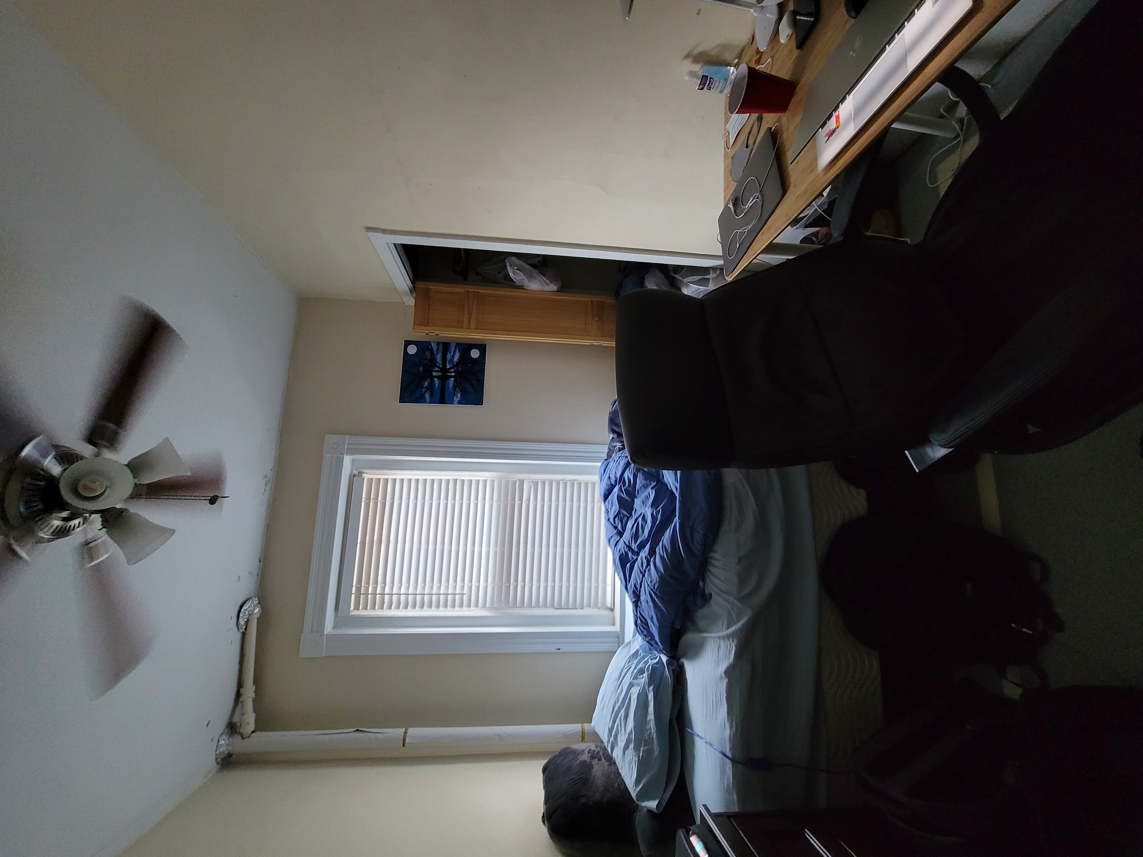 108 Myrtle St, Beacon Hill