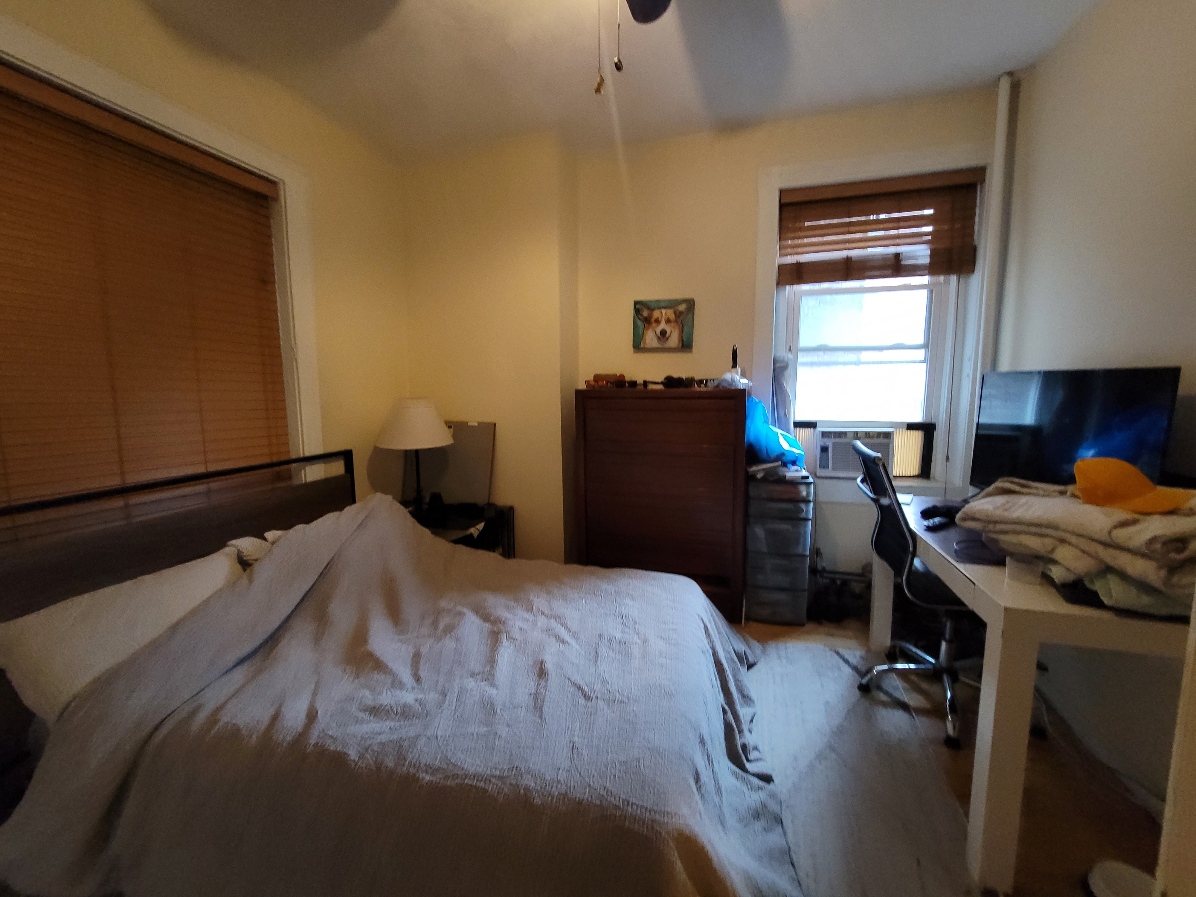 108 Myrtle St, Beacon Hill