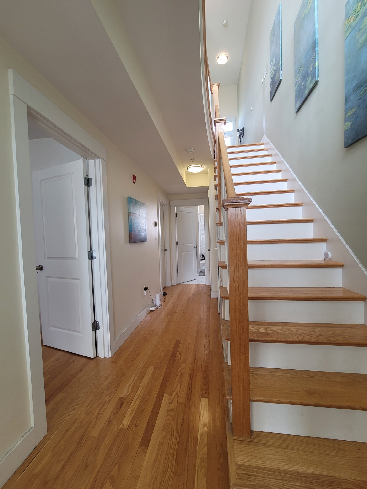 554 Dorchester Ave, South Boston