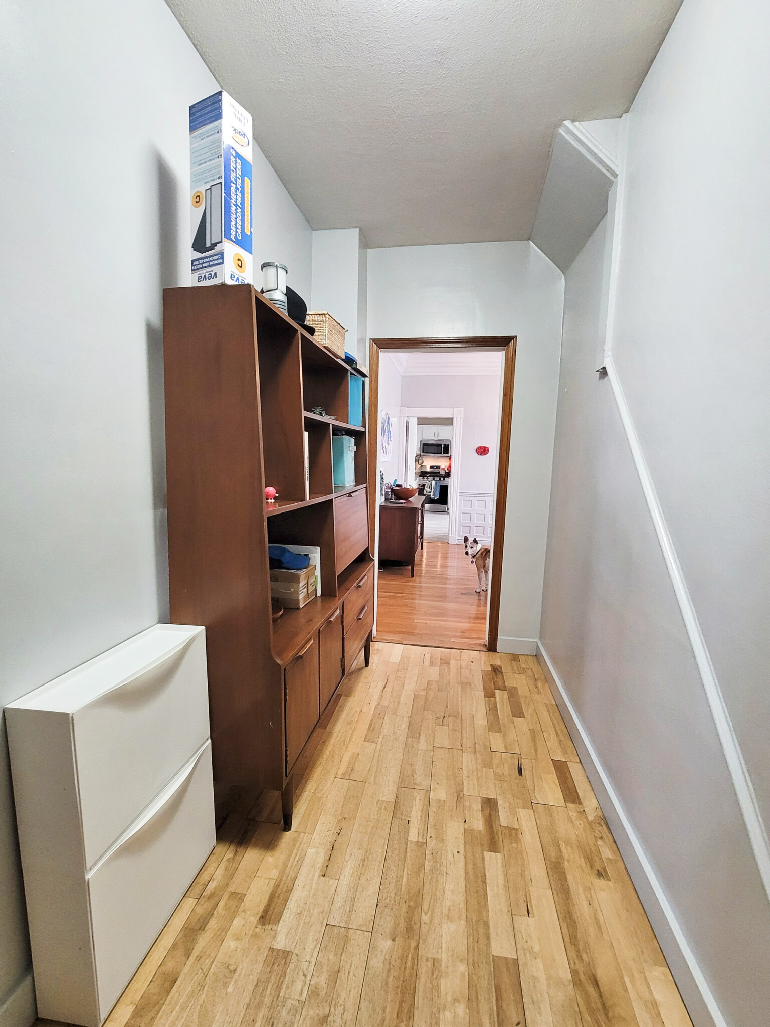 20 Landers St, Spring Hill