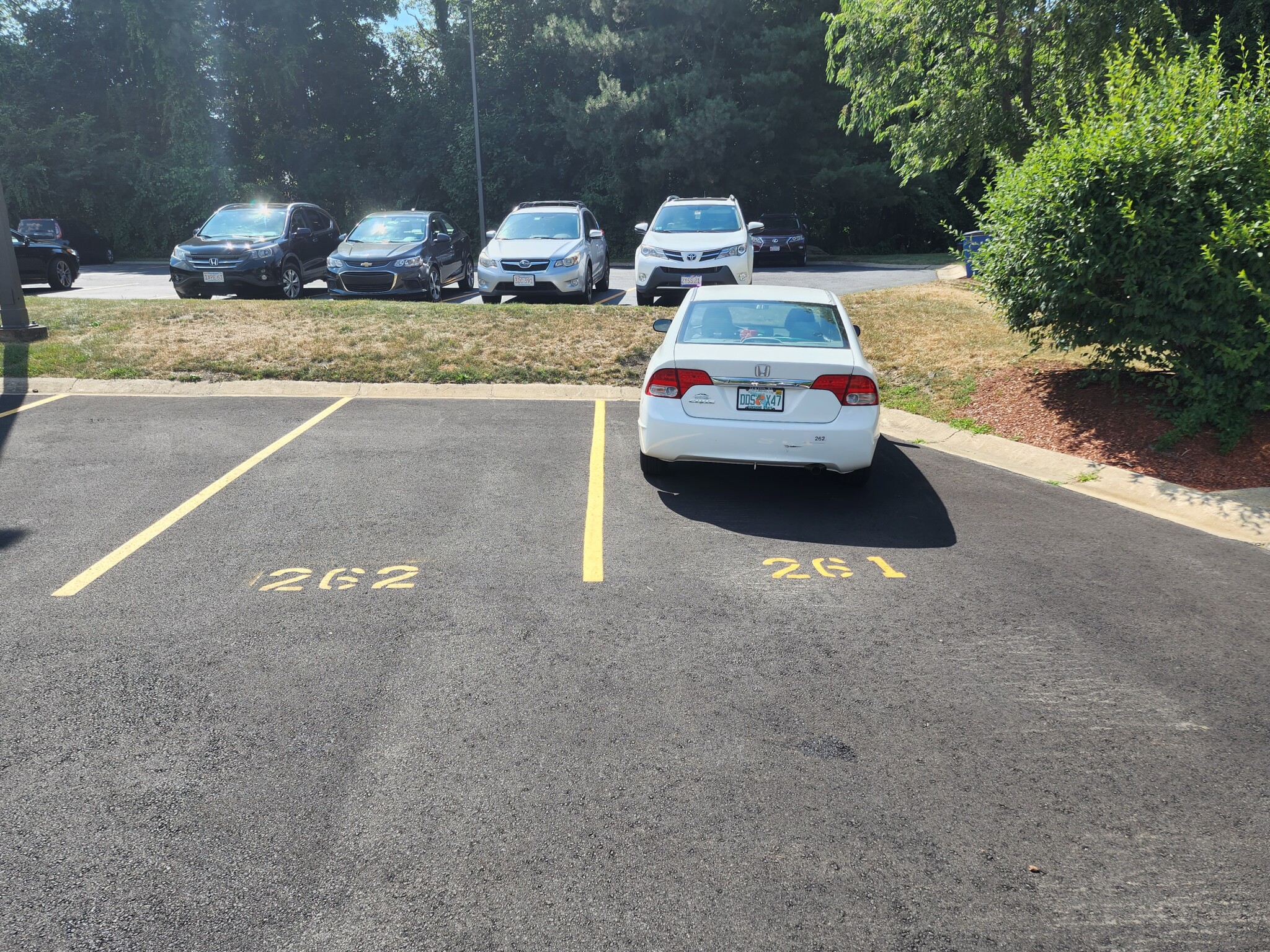 250 Hammond Pond Pkwy, Newton