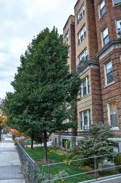 1 bed, 1 bath apartment for rent at 1197 Boylston St Unit 20, Fenway — photo 9 of 13