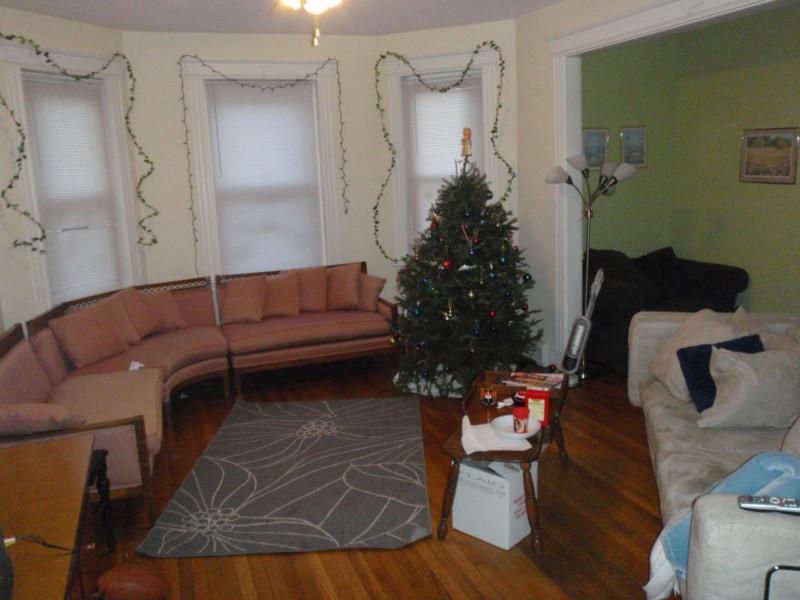 45 Orkney Rd, Brighton