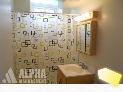 2 bed, 1 bath apartment for rent at 208 Winthrop Rd Unit B-2, Brookline Hills — photo 1 of 8