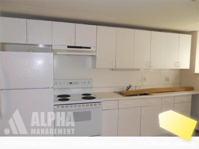 2 bed, 1 bath apartment for rent at 208 Winthrop Rd Unit B-2, Brookline Hills — photo 4 of 8