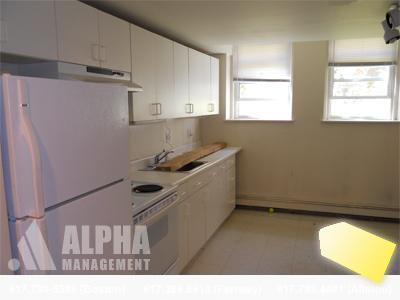 2 bed, 1 bath apartment for rent at 208 Winthrop Rd Unit B-2, Brookline Hills — photo 5 of 8