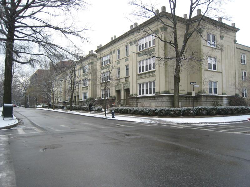 Photo 17 of Egmont St. Unit 6