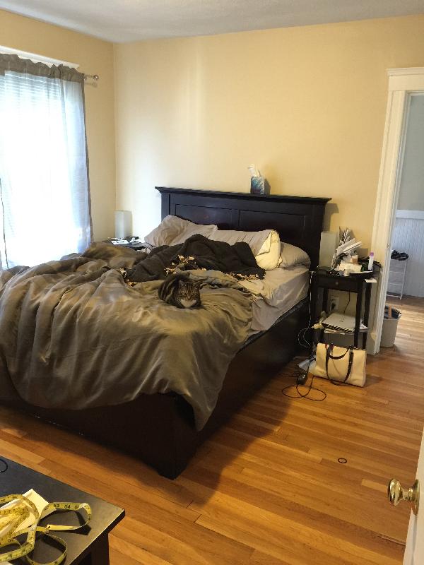 9 Arlington St, Arlington