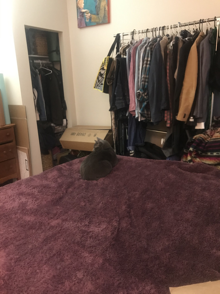 1189 Commonwealth Ave, Allston