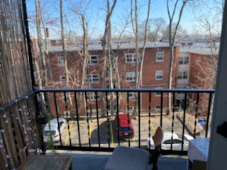 2 bed, 1 bath apartment for rent at 325 Summit Ave Unit 11, Brighton — photo 18 of 18