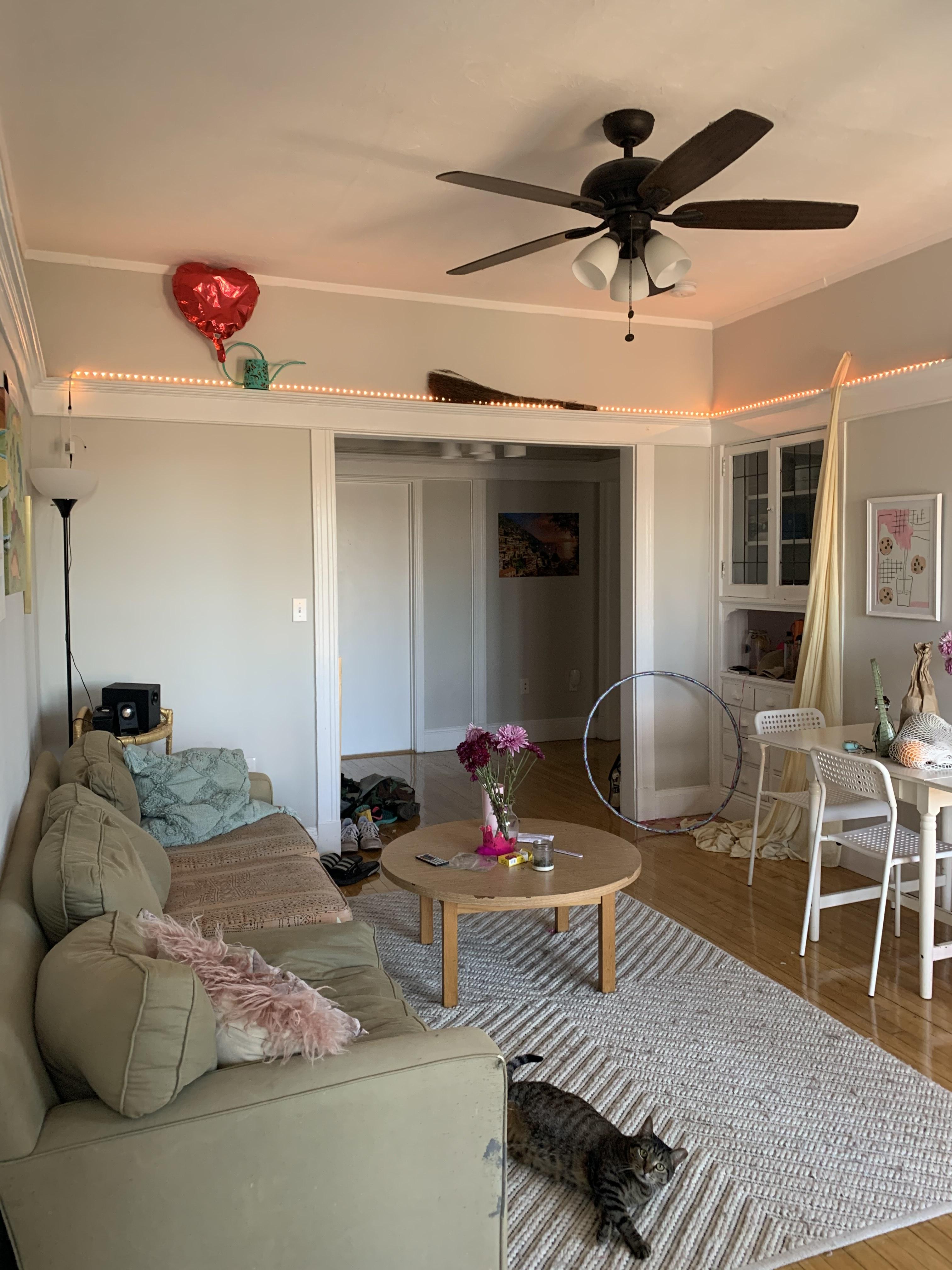 3 bed, 1 bath apartment for rent at 5 Farrington Ave Unit 5, Allston — photo 2 of 13